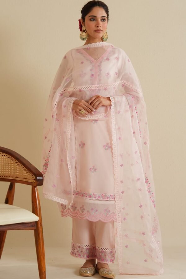 Blush Pink Embroidered Organza Suit Set